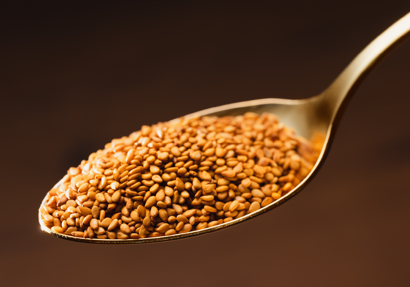 瀬戸内金ごま(胡麻)のHITOSAJIYA (ひとさじや)